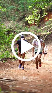 BIB:  <button type="button" onclick="openModal(27822456)" class="btn btn-primary btn-sm float-right" data-toggle="modal" data-target=".modal-high-quality">
                <i class="fa fa-download"></i> Download
                </button>